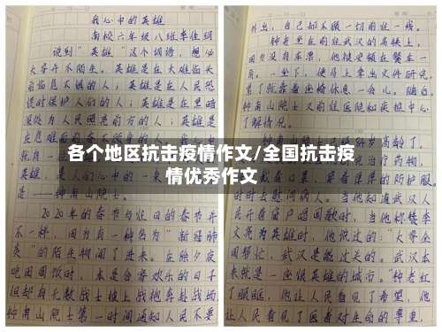 各个地区抗击疫情作文/全国抗击疫情优秀作文-第1张图片