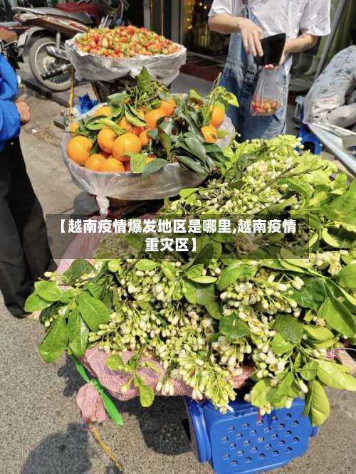 【越南疫情爆发地区是哪里,越南疫情重灾区】-第3张图片