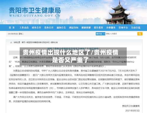 贵州疫情出现什么地区了/贵州疫情是否又严重了-第3张图片