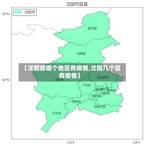 【沈阳都哪个地区有疫情,沈阳几个区有疫情】-第1张图片
