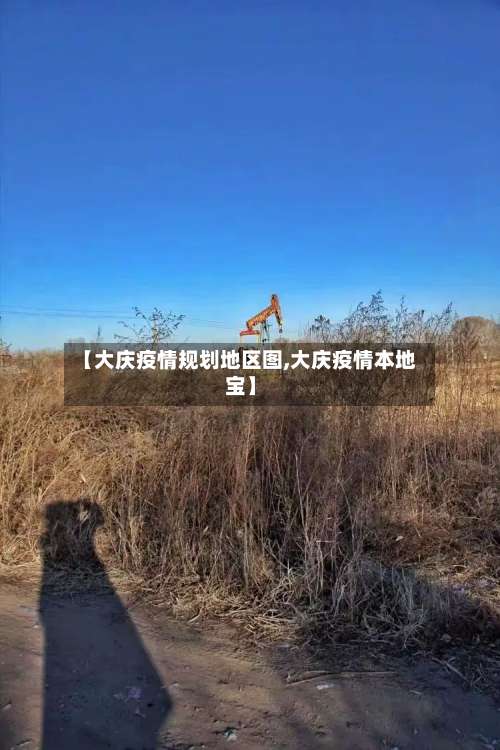 【大庆疫情规划地区图,大庆疫情本地宝】-第2张图片
