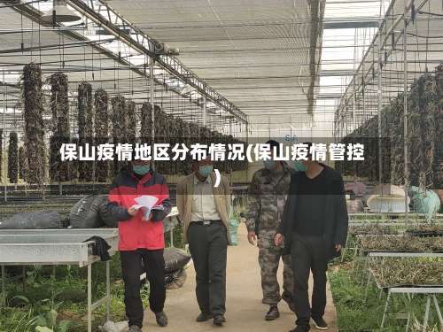 保山疫情地区分布情况(保山疫情管控)-第1张图片