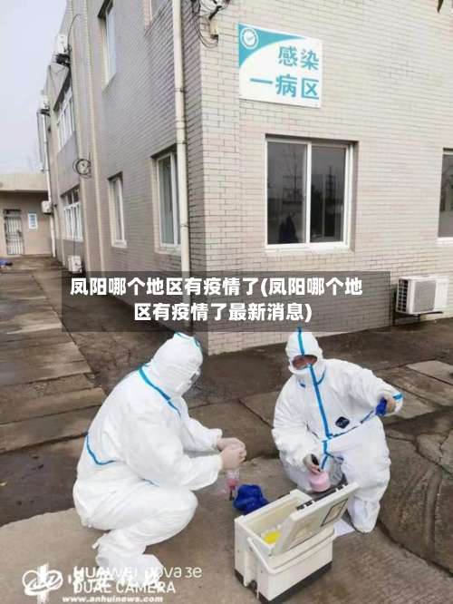 凤阳哪个地区有疫情了(凤阳哪个地区有疫情了最新消息)-第2张图片