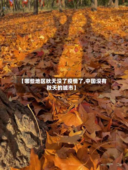 【哪些地区秋天没了疫情了,中国没有秋天的城市】-第2张图片