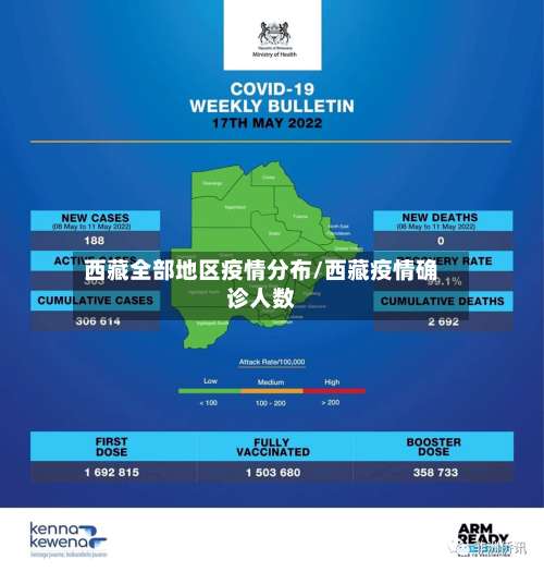 西藏全部地区疫情分布/西藏疫情确诊人数-第2张图片