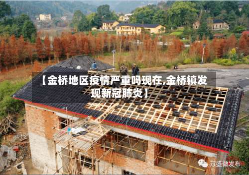 【金桥地区疫情严重吗现在,金桥镇发现新冠肺炎】-第2张图片