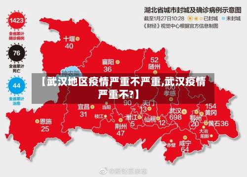 【武汉地区疫情严重不严重,武汉疫情严重不?】-第1张图片
