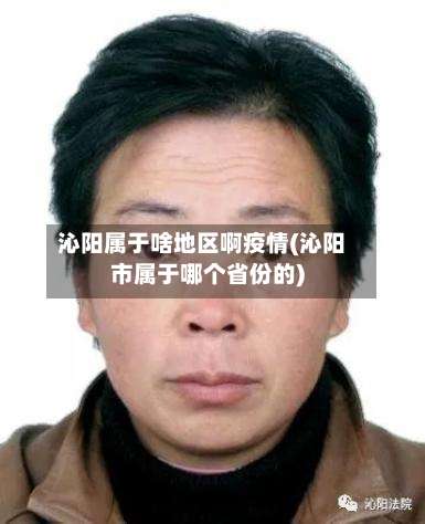 沁阳属于啥地区啊疫情(沁阳市属于哪个省份的)-第1张图片