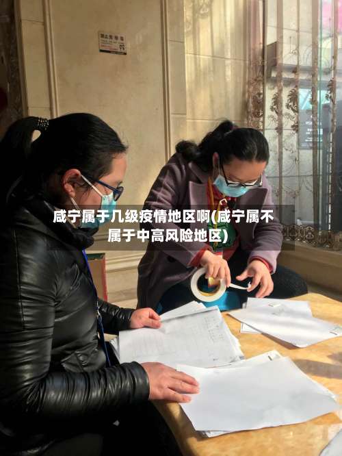 咸宁属于几级疫情地区啊(咸宁属不属于中高风险地区)-第1张图片
