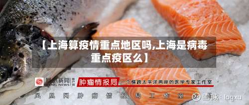 【上海算疫情重点地区吗,上海是病毒重点疫区么】-第1张图片