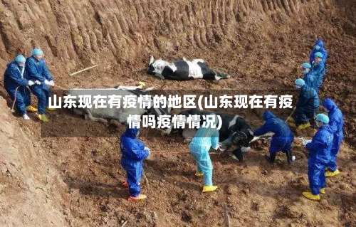 山东现在有疫情的地区(山东现在有疫情吗疫情情况)-第2张图片