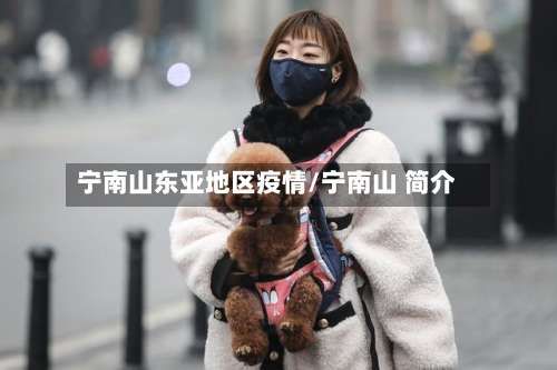 宁南山东亚地区疫情/宁南山 简介-第2张图片