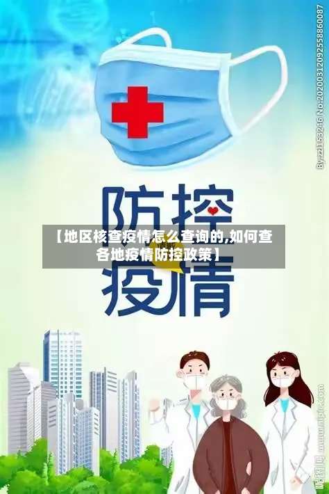 【地区核查疫情怎么查询的,如何查各地疫情防控政策】-第2张图片
