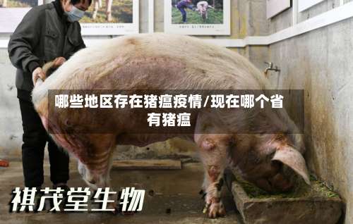 哪些地区存在猪瘟疫情/现在哪个省有猪瘟-第2张图片