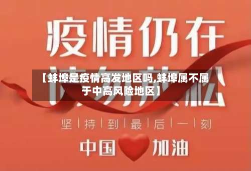 【蚌埠是疫情高发地区吗,蚌埠属不属于中高风险地区】-第3张图片