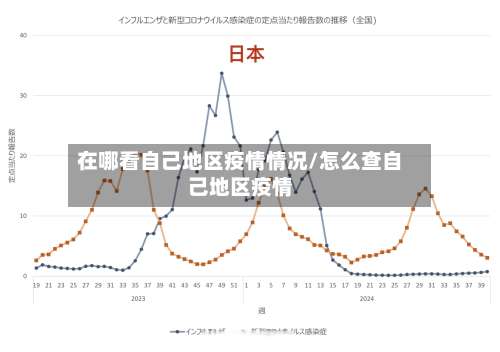 在哪看自己地区疫情情况/怎么查自己地区疫情-第3张图片