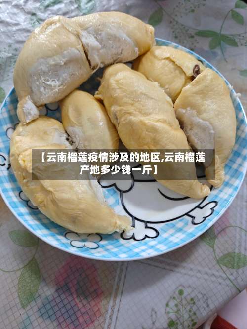 【云南榴莲疫情涉及的地区,云南榴莲产地多少钱一斤】-第2张图片