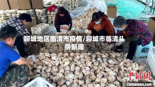 聊城地区临清市疫情/聊城市临清头条新闻-第1张图片