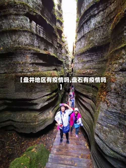 【盘井地区有疫情吗,盘石有疫情吗】-第1张图片