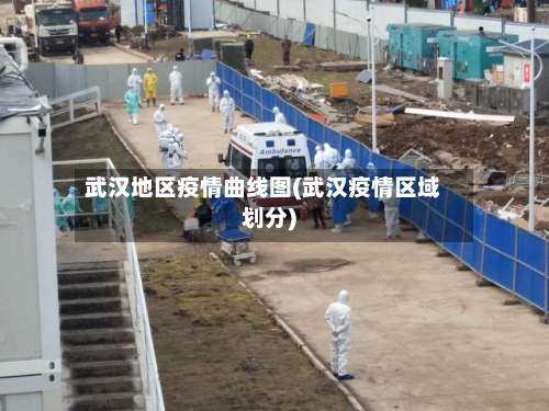 武汉地区疫情曲线图(武汉疫情区域划分)-第1张图片