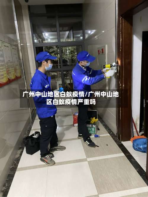 广州中山地区白蚁疫情/广州中山地区白蚁疫情严重吗-第3张图片