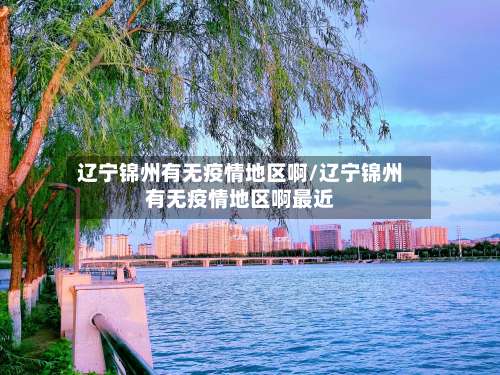 辽宁锦州有无疫情地区啊/辽宁锦州有无疫情地区啊最近-第1张图片